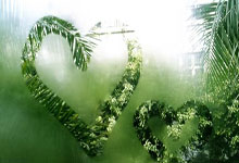 爱游戏体育摔跤预选赛焦点战：漠南迅豹队绝杀北城巨龙队，新星闪耀。本土核心状态回升的简单介绍